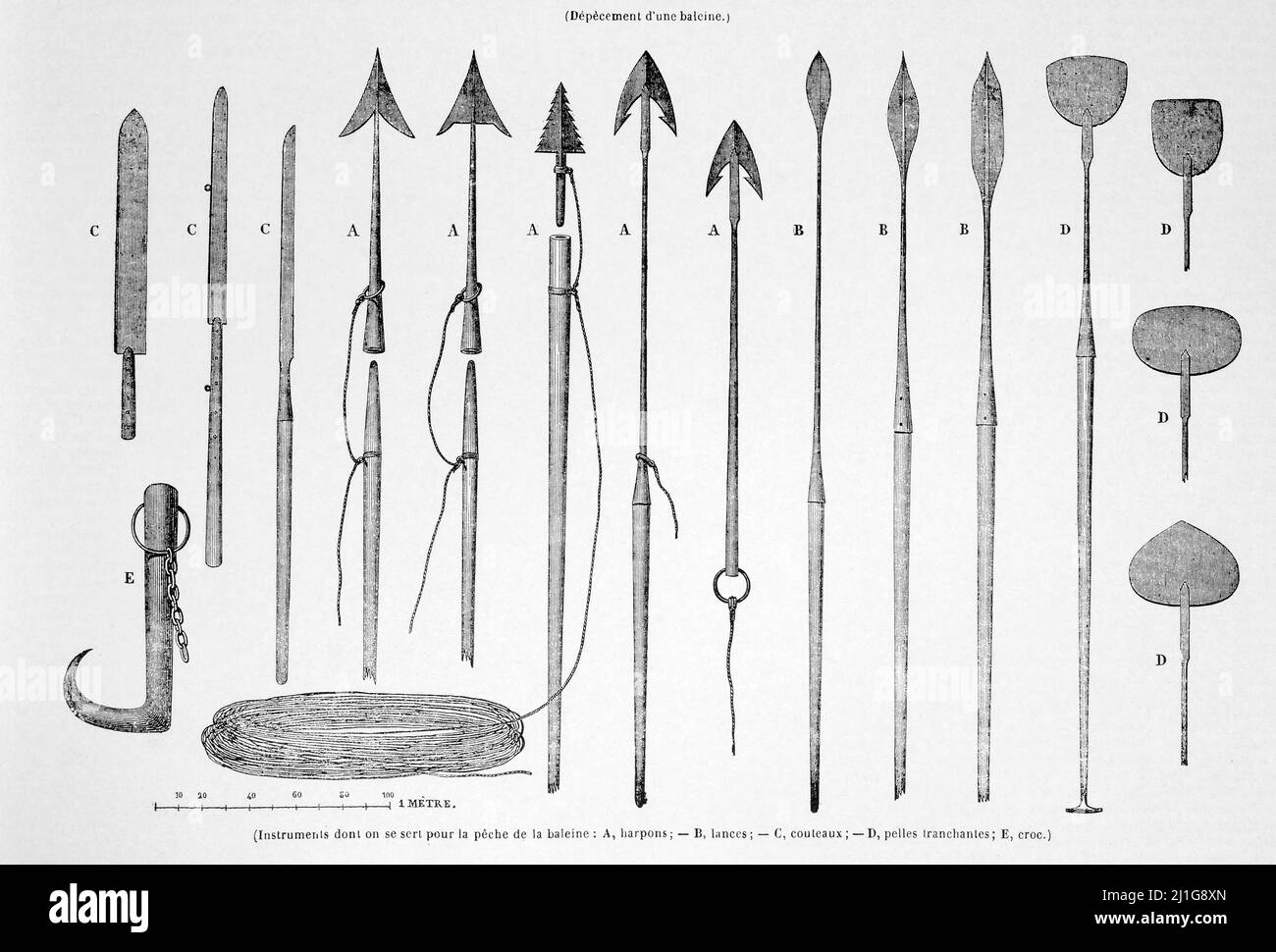 Eng translation : ' (Instrumente für den Walfang: A, Harpunen; - B, Speere; - €, Messer; - D, scharfe Schaufeln; E, fang.) ' - Original in Französisch : ' (Instrumente dont on se sert pour la pêche de la baleine : A, Harponen ; – B, Lanzen ; – €, Couteaux ; – D, pelles tranchantes; E, croc.) ' - Auszug aus 'L'Illustration Journal Universel' - Französische Illustrierte Zeitschrift - 1844 Stockfoto