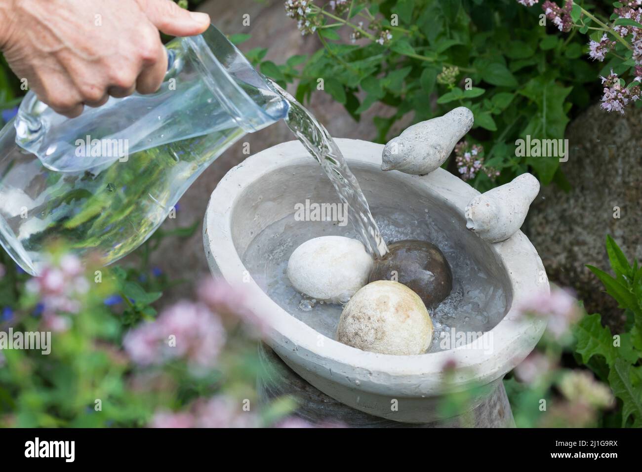 Vogeltränke, Tränke, Trinken, Wasser, Wasserschale, Trinknapf, Wasser im Garten, Vogelbad, mit Steinen im Wasser, damit hineinfallende Insekten wieder Stockfoto