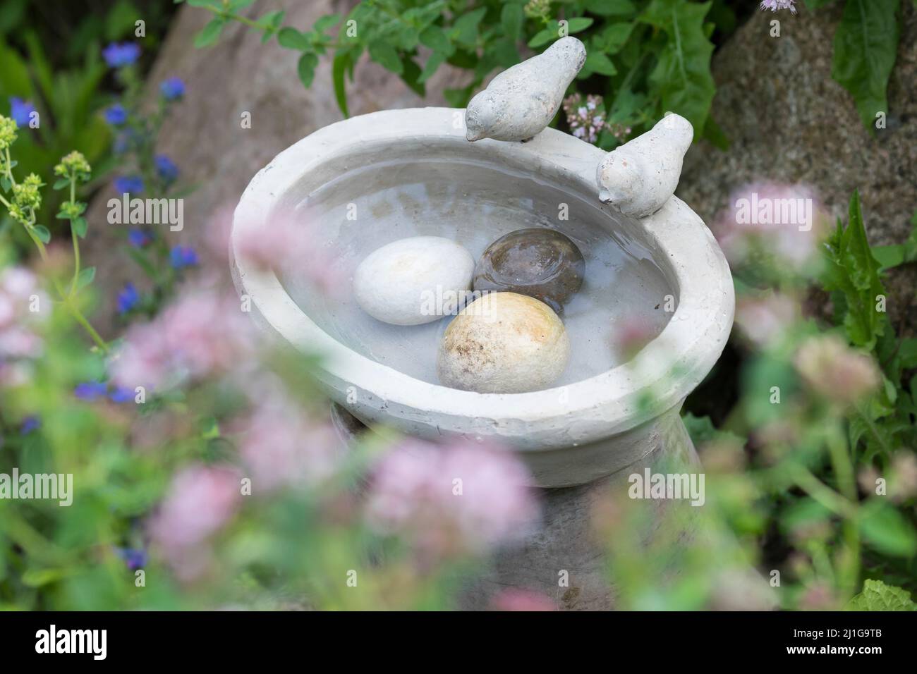 Vogeltränke, Tränke, Trinken, Wasser, Wasserschale, Trinknapf, Wasser im Garten, Vogelbad, mit Steinen im Wasser, damit hineinfallende Insekten wieder Stockfoto