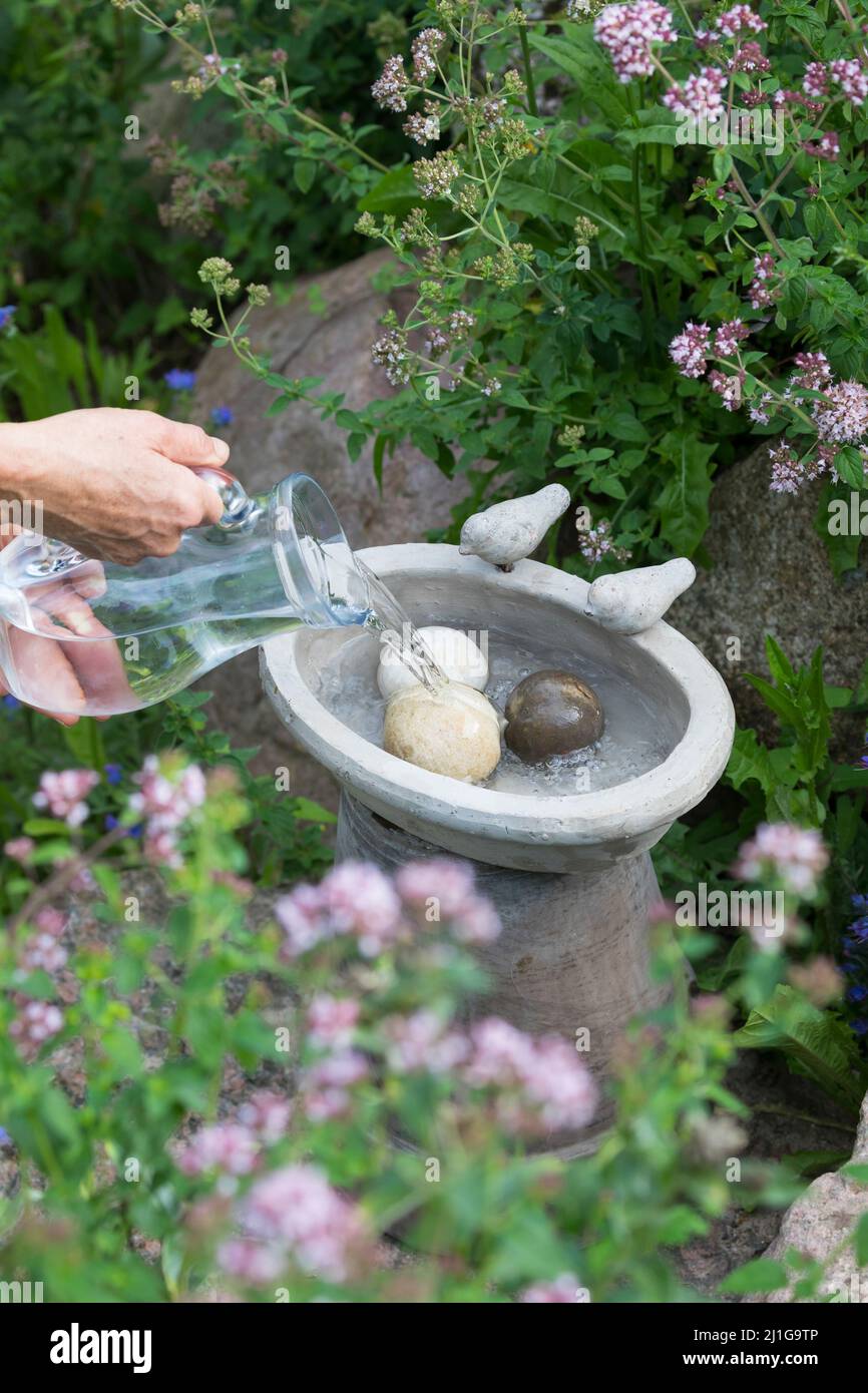 Vogeltränke, Tränke, Trinken, Wasser, Wasserschale, Trinknapf, Wasser im Garten, Vogelbad, mit Steinen im Wasser, damit hineinfallende Insekten wieder Stockfoto
