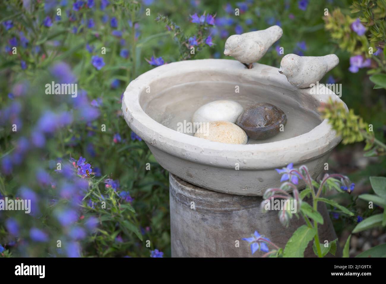 Vogeltränke, Tränke, Trinken, Wasser, Wasserschale, Trinknapf, Wasser im Garten, Vogelbad, mit Steinen im Wasser, damit hineinfallende Insekten wieder Stockfoto