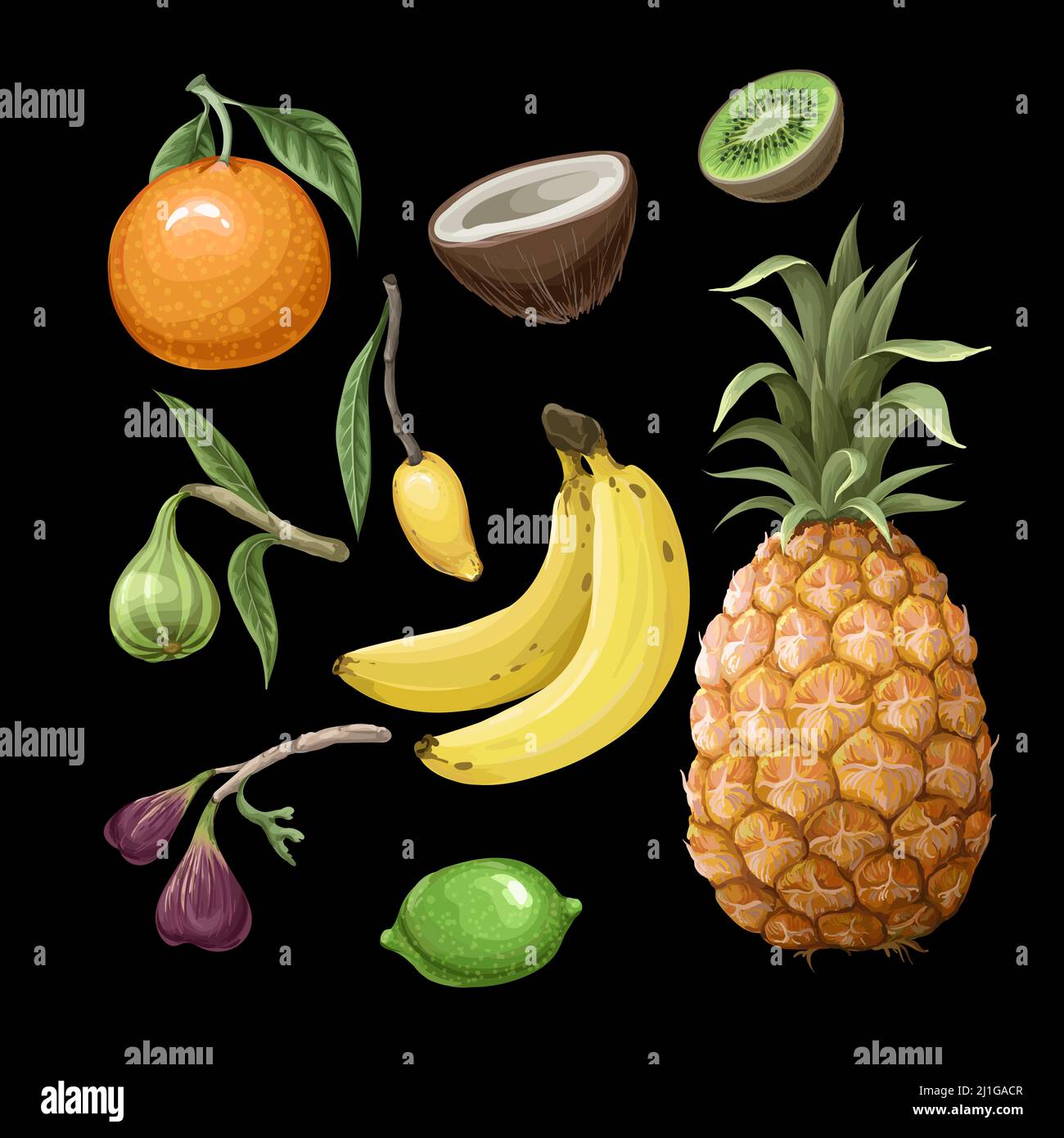 Nahtloses Muster mitSet von tropischen Früchten wie Ananas, Orange, Feige, Banane etc. Vektor. Stock Vektor