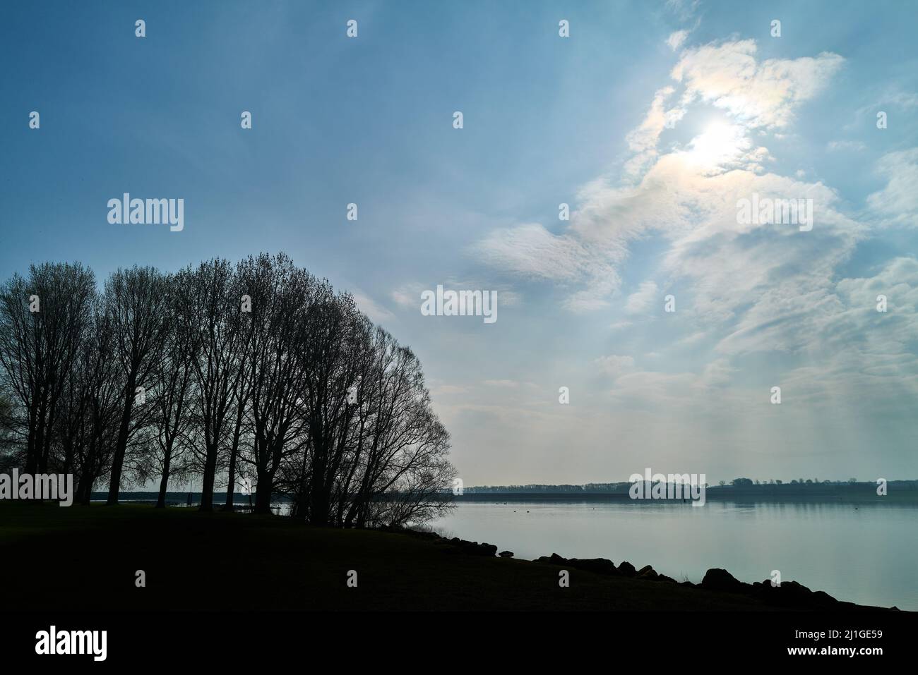 Am frühen Morgen in einem Wald am See während eines ruhigen Frühlingstages. Stockfoto