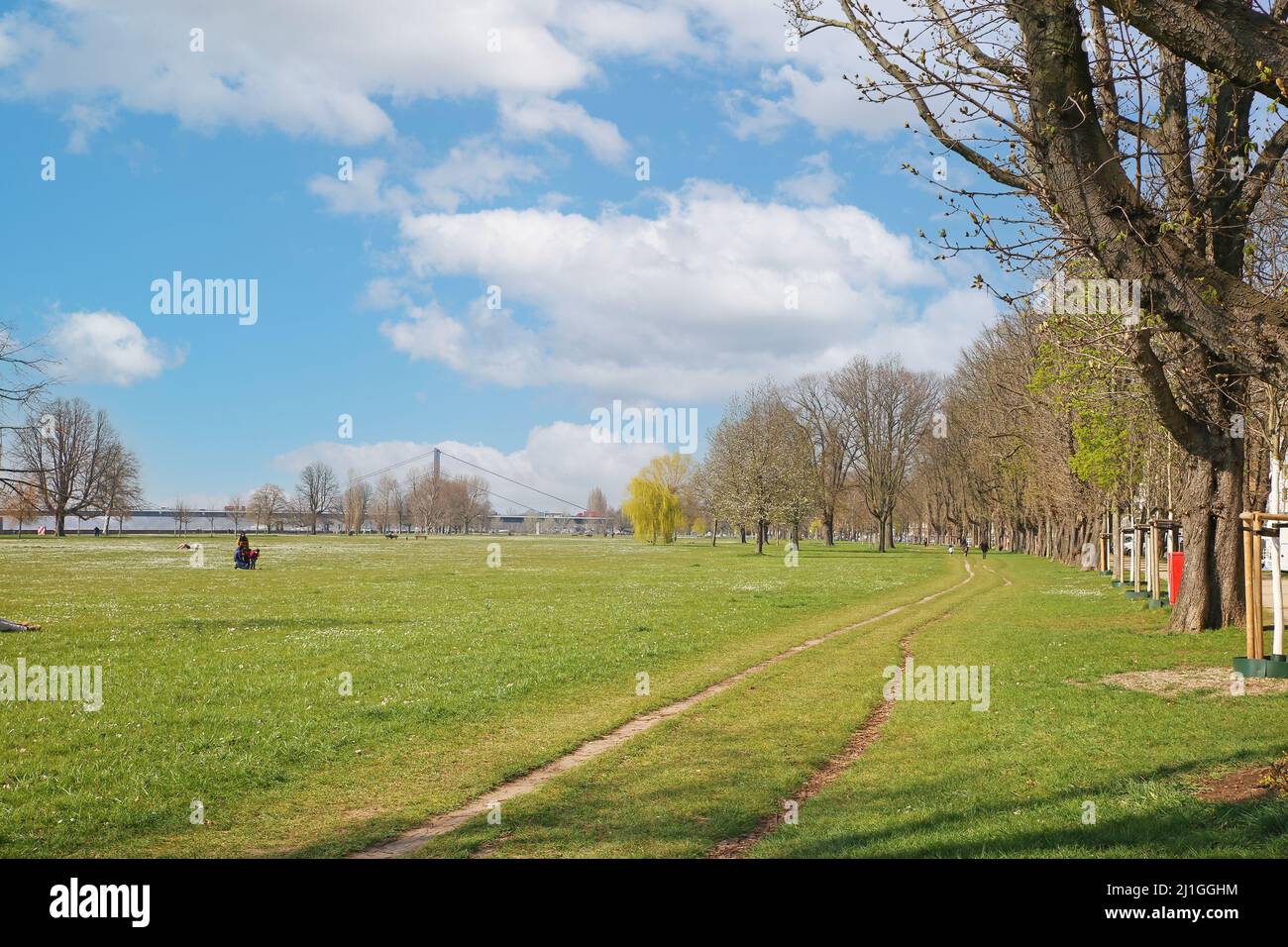 Düsseldorf (Rheinpark Golzheim), Deutschland - März 21,2022: Blick auf die Grannwiese im Frühjahr, Rheinbrücke im Hintergrund Stockfoto
