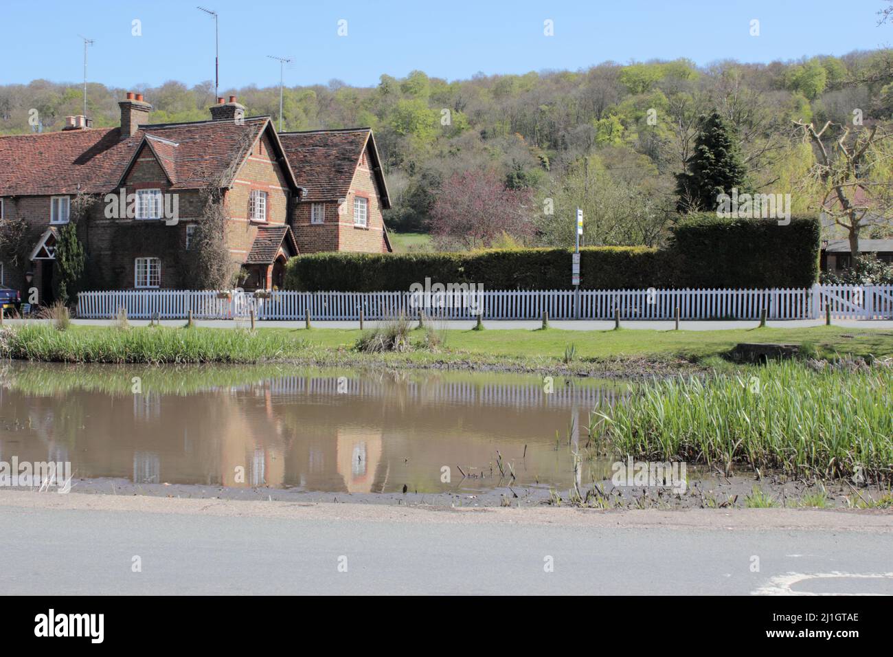 Pond, Aldbury Village in Spring, Hertfordshire, England, Großbritannien Stockfoto