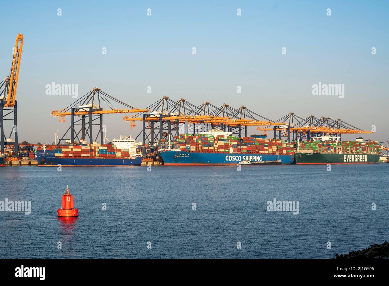 EuroOmax Container Terminal, Containerfrachter, im Seehafen Rotterdam, Niederlande, Tiefseehafen Maasvlakte 2, auf einem künstlich geschaffenen lan Stockfoto