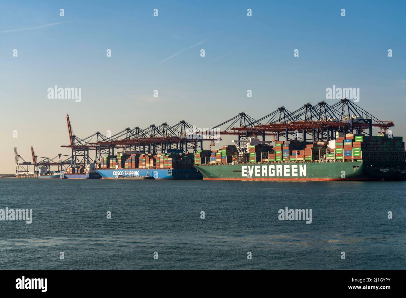 EuroOmax Container Terminal, Containerfrachter, im Seehafen Rotterdam, Niederlande, Tiefseehafen Maasvlakte 2, auf einem künstlich geschaffenen lan Stockfoto