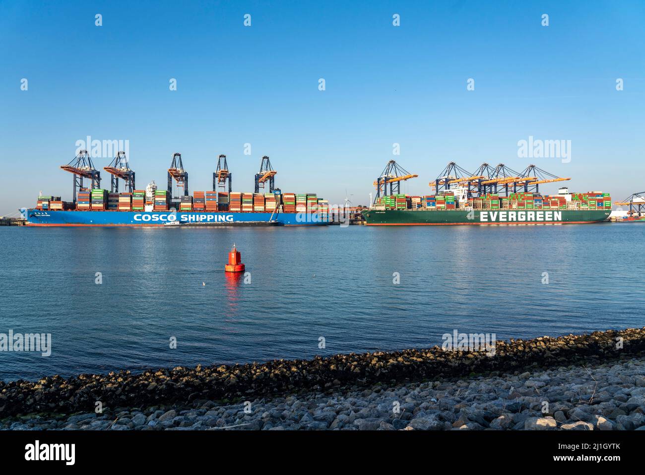 EuroOmax Container Terminal, Containerfrachter, im Seehafen Rotterdam, Niederlande, Tiefseehafen Maasvlakte 2, auf einem künstlich geschaffenen lan Stockfoto