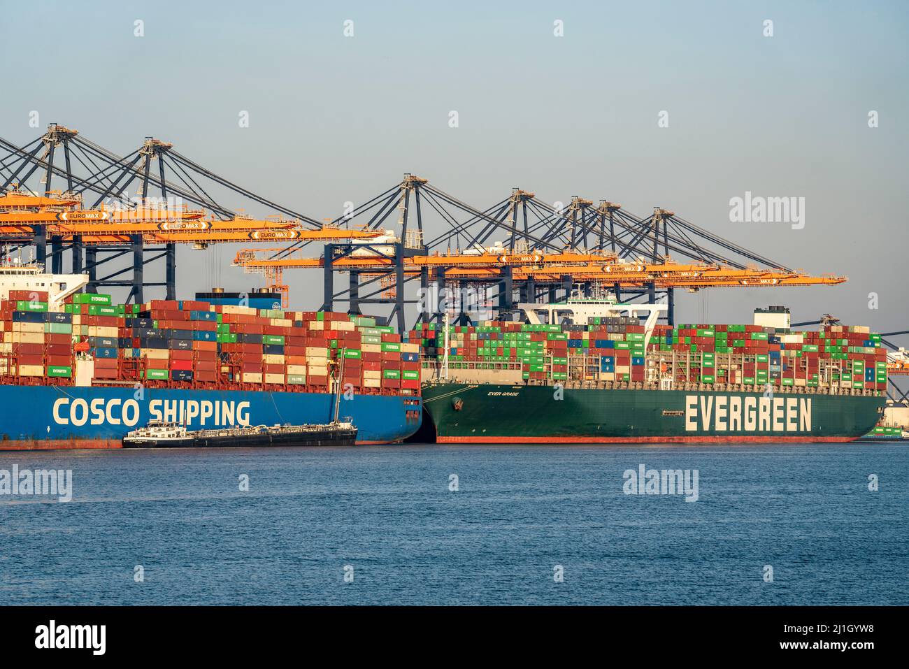 EuroOmax Container Terminal, Containerfrachter, im Seehafen Rotterdam, Niederlande, Tiefseehafen Maasvlakte 2, auf einem künstlich geschaffenen lan Stockfoto