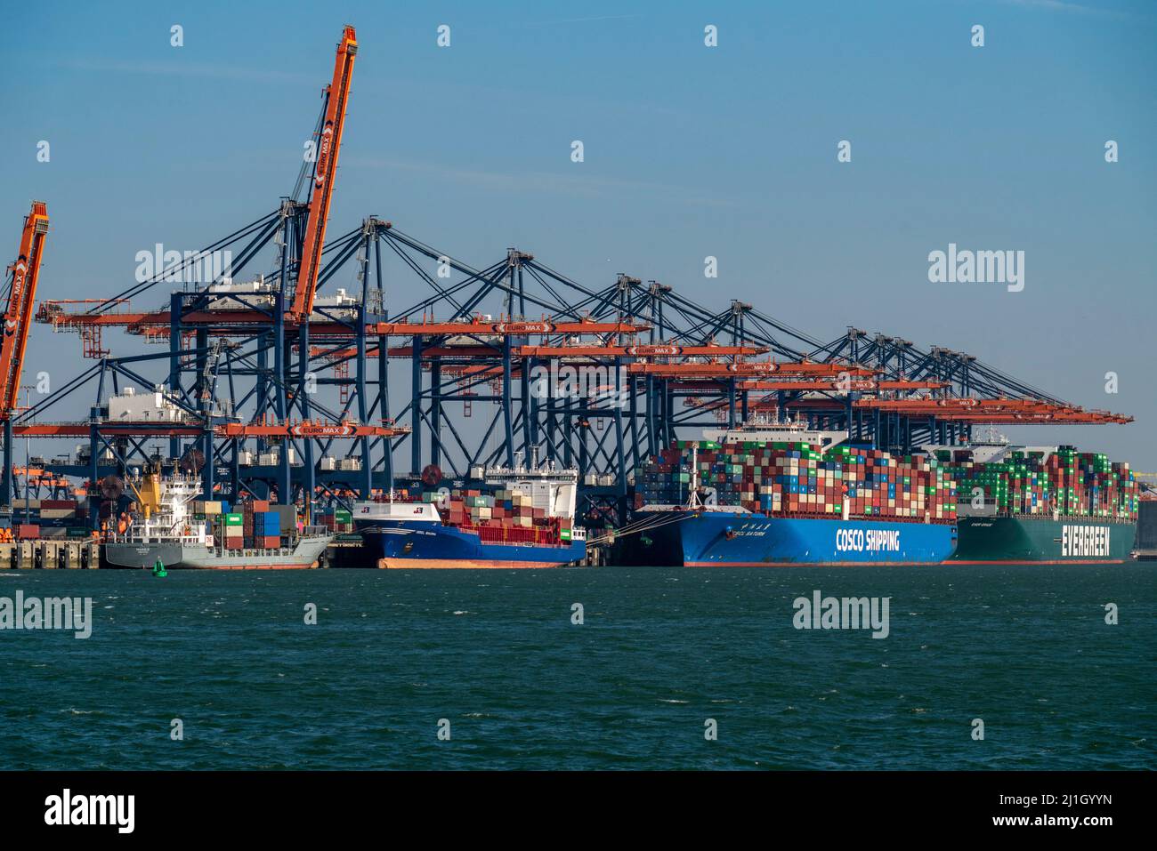 EuroOmax Container Terminal, Containerfrachter, im Seehafen Rotterdam, Niederlande, Tiefseehafen Maasvlakte 2, auf einem künstlich geschaffenen lan Stockfoto