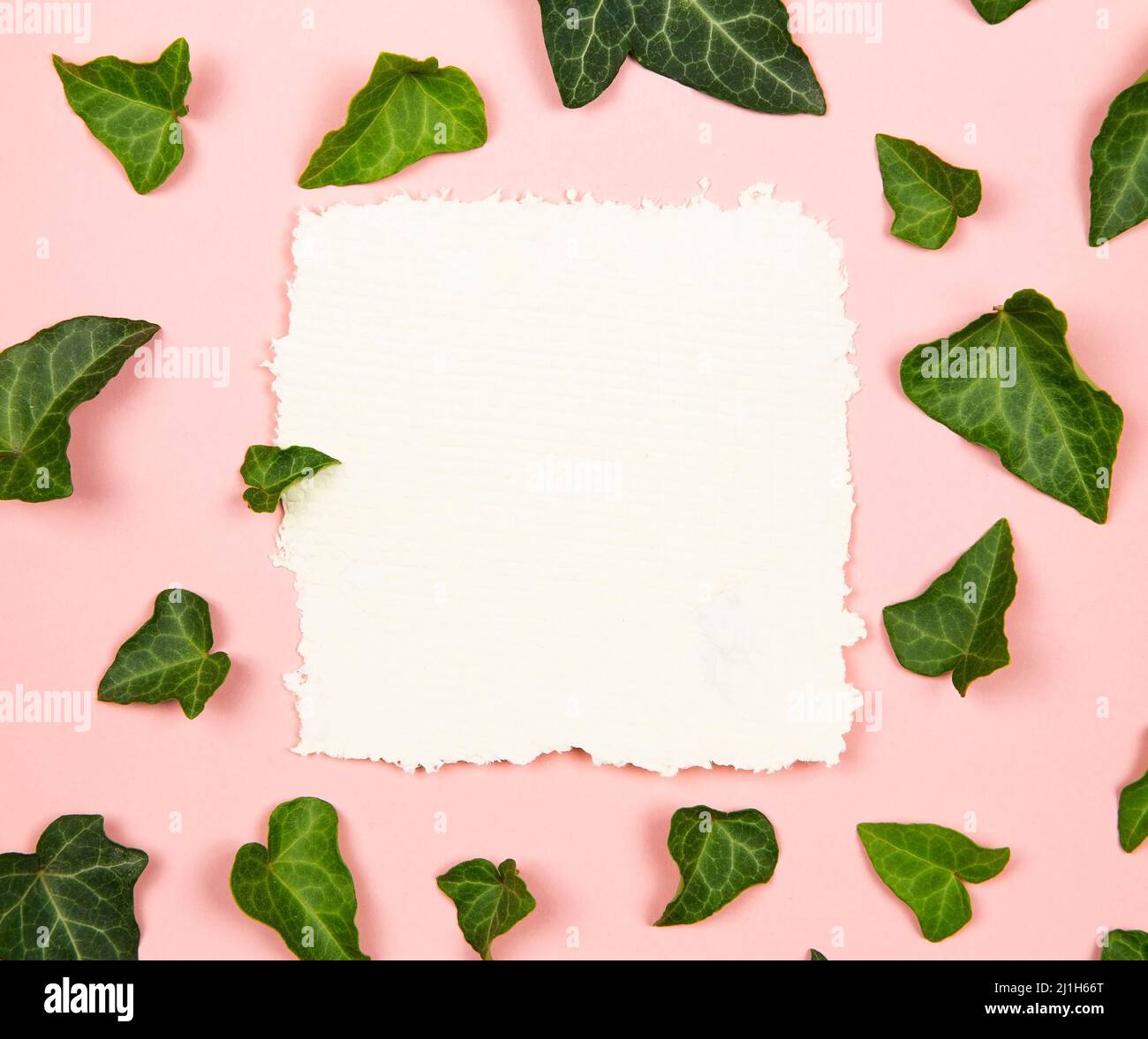 Basteln Sie eine leere Papiernotiz mit den grünen Blättern Stockfoto