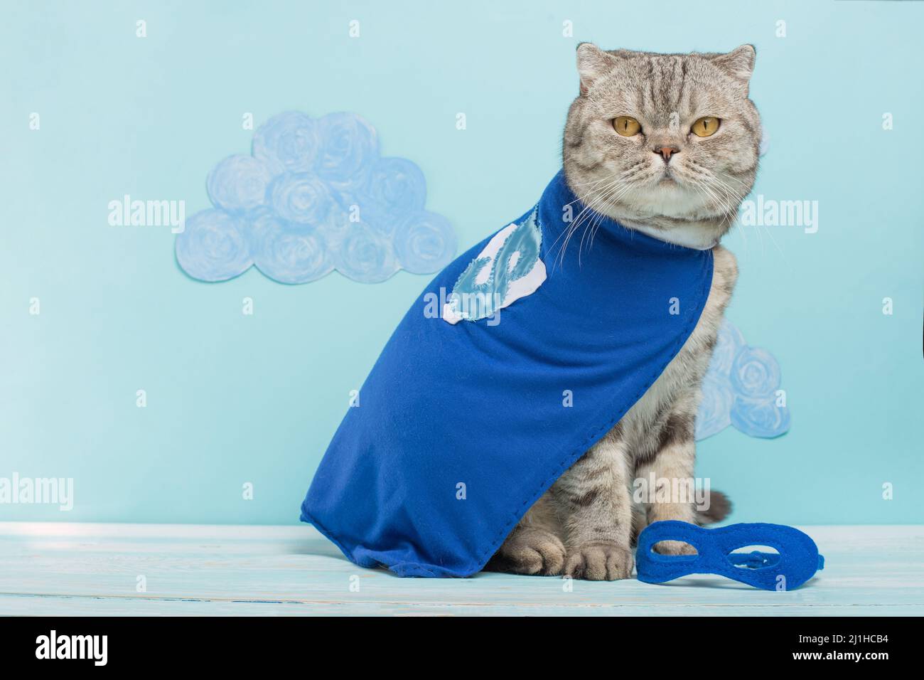 Superhelden-Katze, in einem blauen Regenmantel Stockfoto