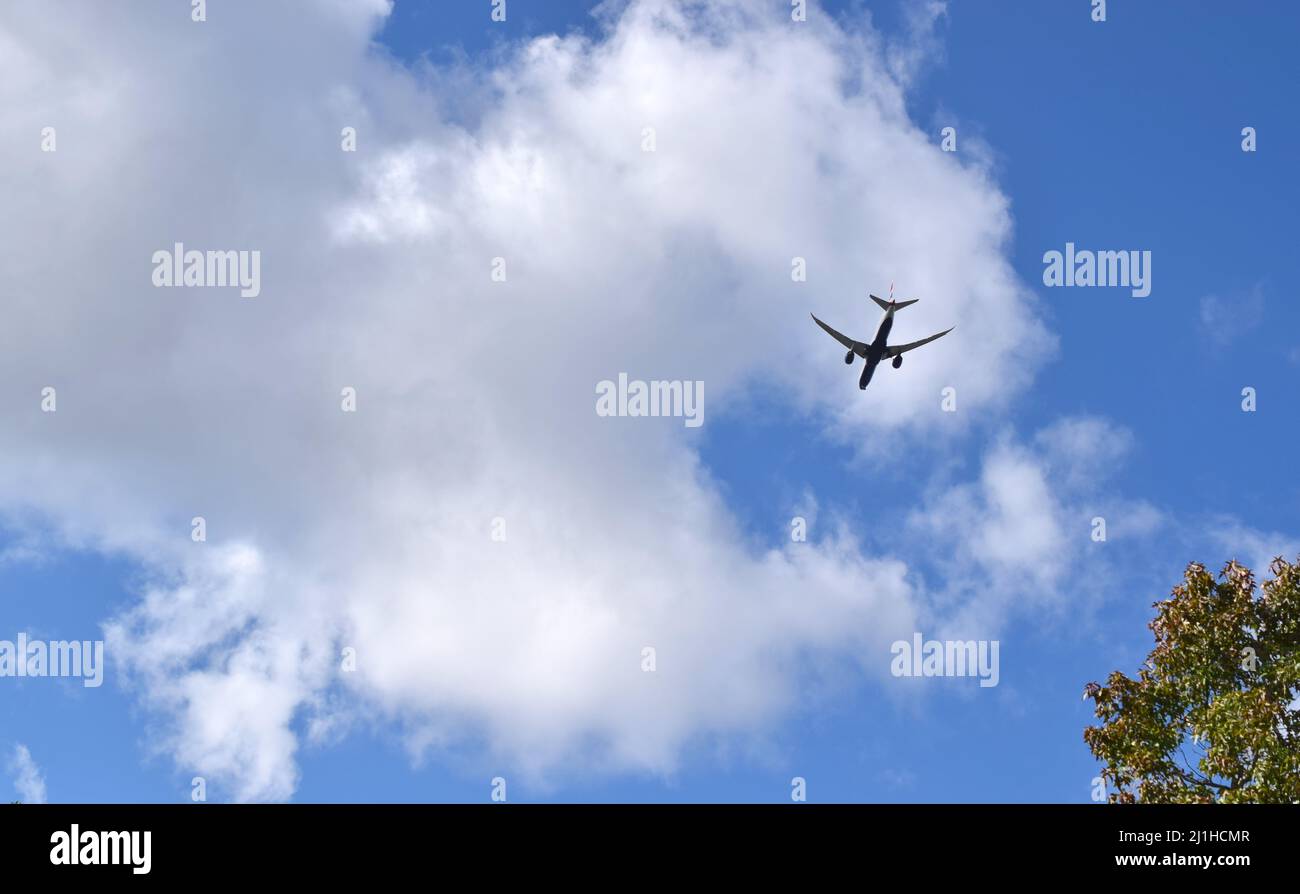 British Airways Flugzeug in blauem Himmel über Kew Gardens in London. Stockfoto