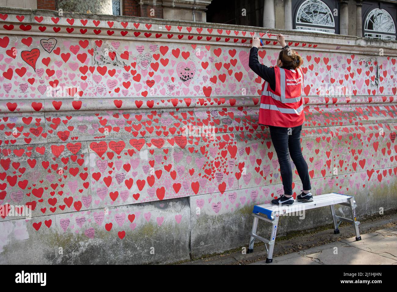 London, Großbritannien. 25. März 2022. Ein Freiwilliger malt ein rotes Herz an der nationalen COVID-Gedenkmauer neu. Jeden Freitag lackieren Freiwillige die Herzen an der nationalen COVID-Gedenkmauer, da die vorherigen Herzen aufgrund des Wetters verblassten. Über 150.000 Herzen wurden bis heute an die Wand vor dem St. Thomas' Hospital gegenüber dem Parlamentsgebäude gemalt, um jedes Leben zu gedenken, das im Vereinigten Königreich aufgrund der COVID-Pandemie seit 2019 verloren gegangen ist. Kredit: SOPA Images Limited/Alamy Live Nachrichten Stockfoto