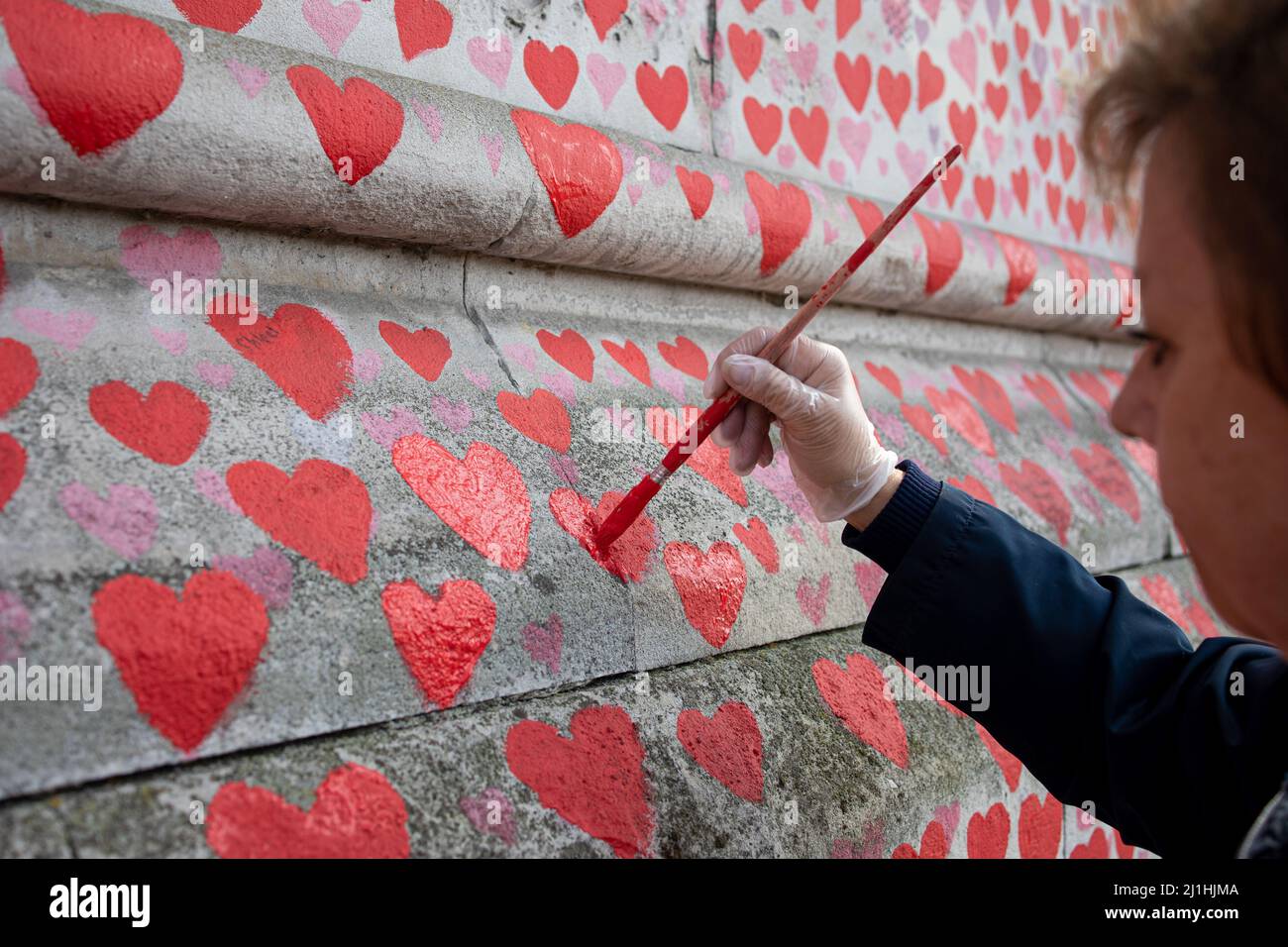 Ein Freiwilliger malt ein rotes Herz an der nationalen COVID-Gedenkmauer neu. Jeden Freitag lackieren Freiwillige die Herzen an der nationalen COVID-Gedenkmauer, da die vorherigen Herzen aufgrund des Wetters verblassten. Über 150.000 Herzen wurden bis heute an die Wand vor dem St. Thomas' Hospital gegenüber dem Parlamentsgebäude gemalt, um jedes Leben zu gedenken, das im Vereinigten Königreich aufgrund der COVID-Pandemie seit 2019 verloren gegangen ist. (Foto von Hesther Ng / SOPA Images/Sipa USA) Stockfoto