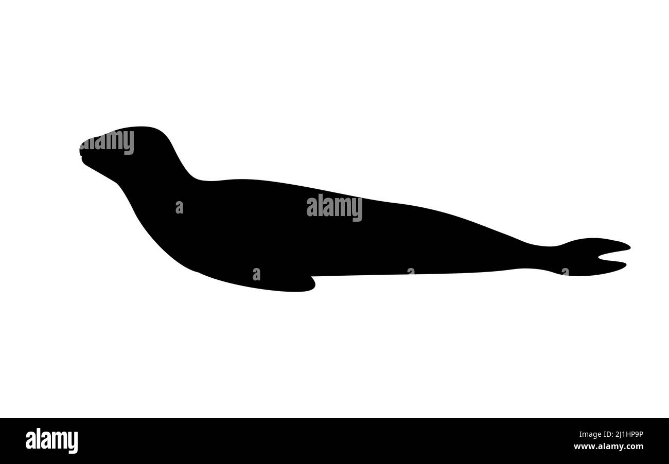 Silhouette Leopardenrobbe. Vektordarstellung einer schwarzen Silhouette eines nördlichen Seeleoparden isoliert auf weißem Hintergrund. Logo Seitenansicht, Profil. Stock Vektor