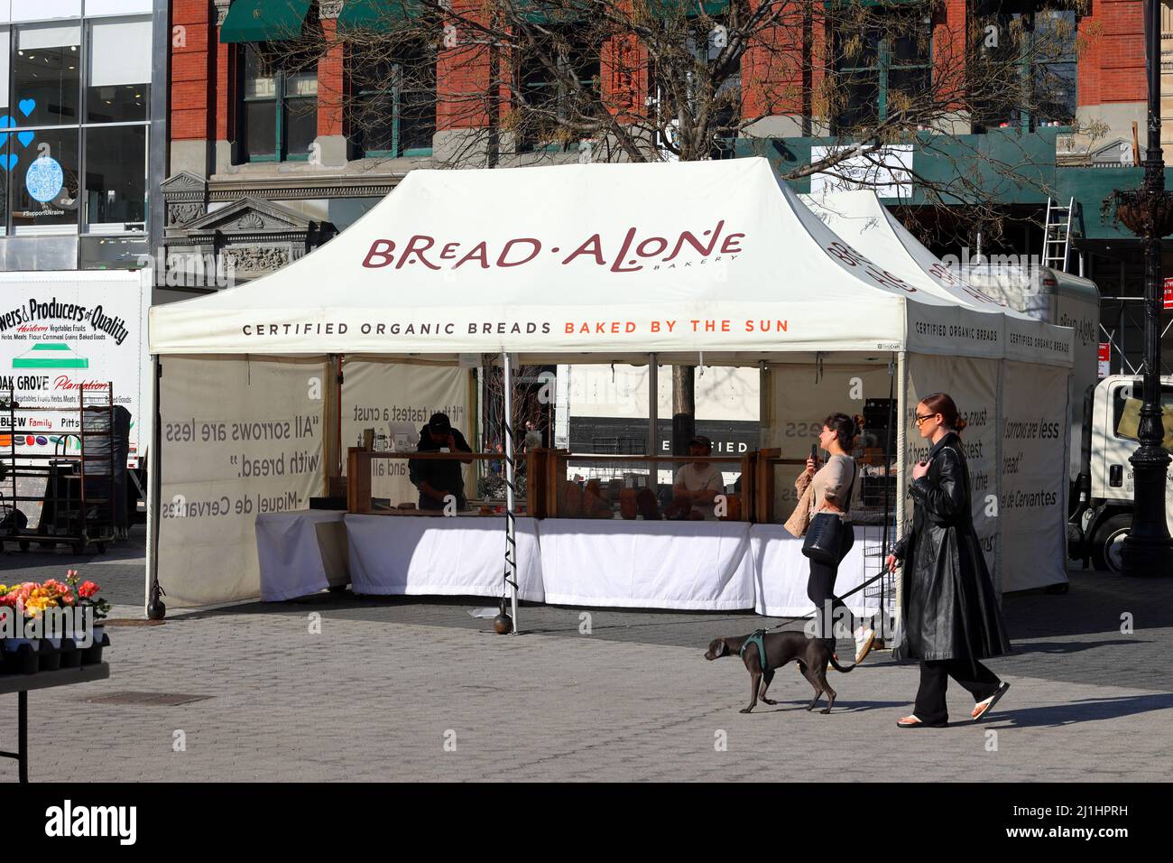 Zelt des Anbieters von Brote Alone-Backwaren im Union Square Greenmarket, New York, NY. Stockfoto