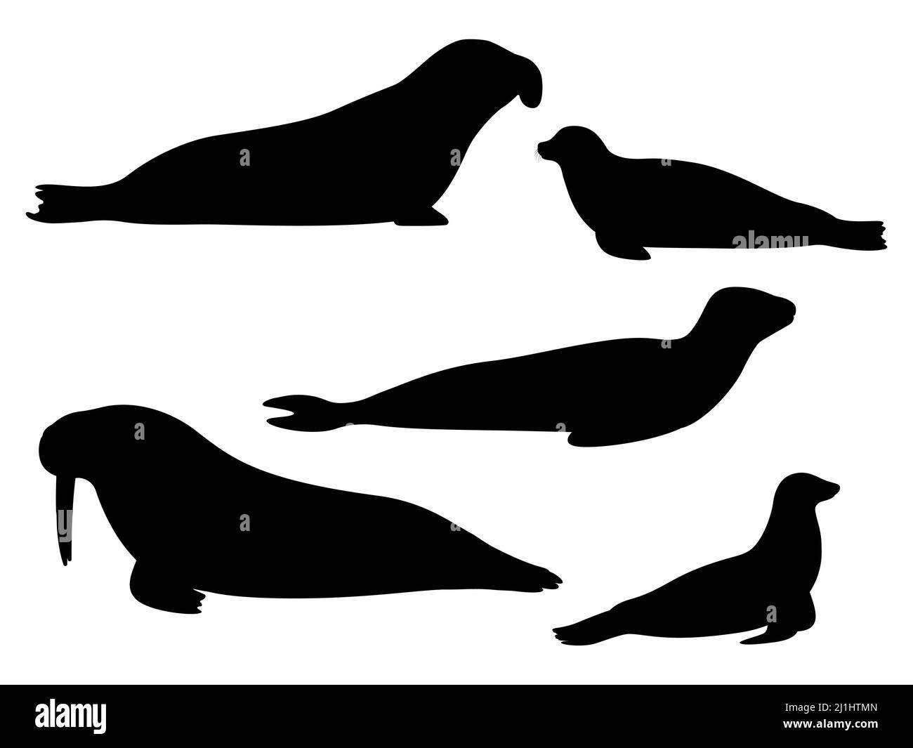 Set von Silhouetten von Nadelspitzen. Vektor-Illustration der schwarzen Silhouette von Seelöwe, Leopard, Elefant, Robbe, Walross isoliert auf weißem Hintergrund. Lo Stock Vektor