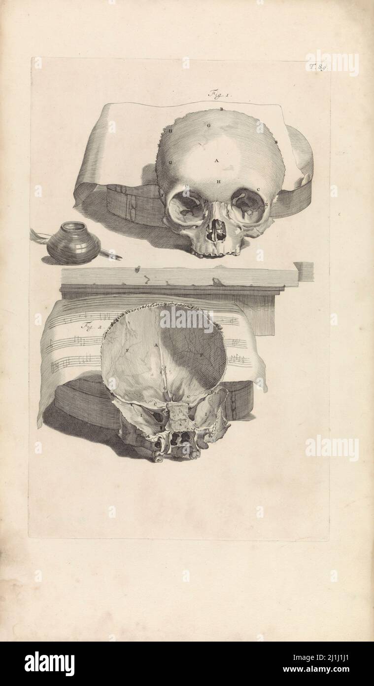 Gravur des anatomischen Studios des Schattens. Stillleben mit einem menschlichen Schädel. Von Pieter van Gunst, nach Gerard de Lairesse, 1685 Stockfoto
