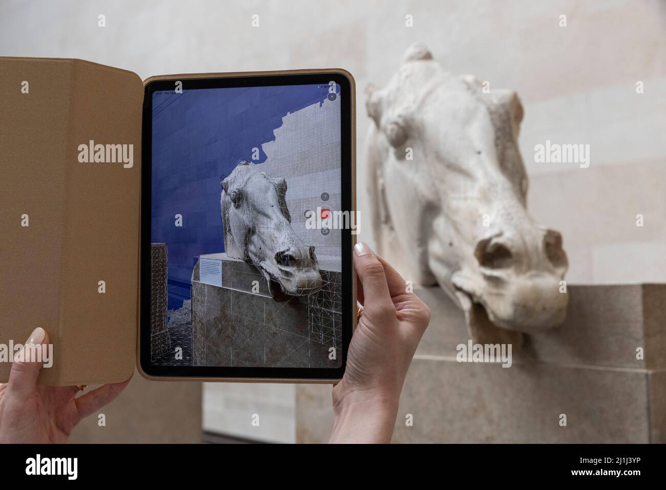 Digitales Scannen des British Museum Parthenon-Skulpturen Ein digitaler Scan eines der Pferdeköpfe vom Wagen, der die Mondgöttin Selene zog. Stockfoto