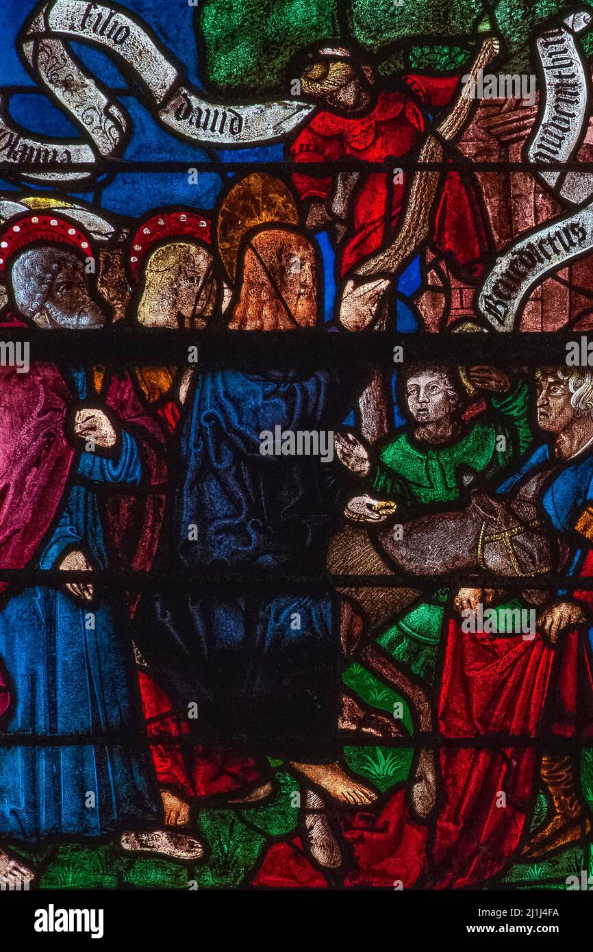 Der Eintritt Jesu in Jerusalem: Lebendige französische Glasmalerei, die eine Szene aus der Passion Christi in einem Fenster von 1511 darstellt, die von den Glasmachern von Troyes im Église Saint-Rémi in Ceffonds, einem Dorf im Département Haute-Marne der Champagne-Region im Nordosten Frankreichs, erstellt wurde. Stockfoto