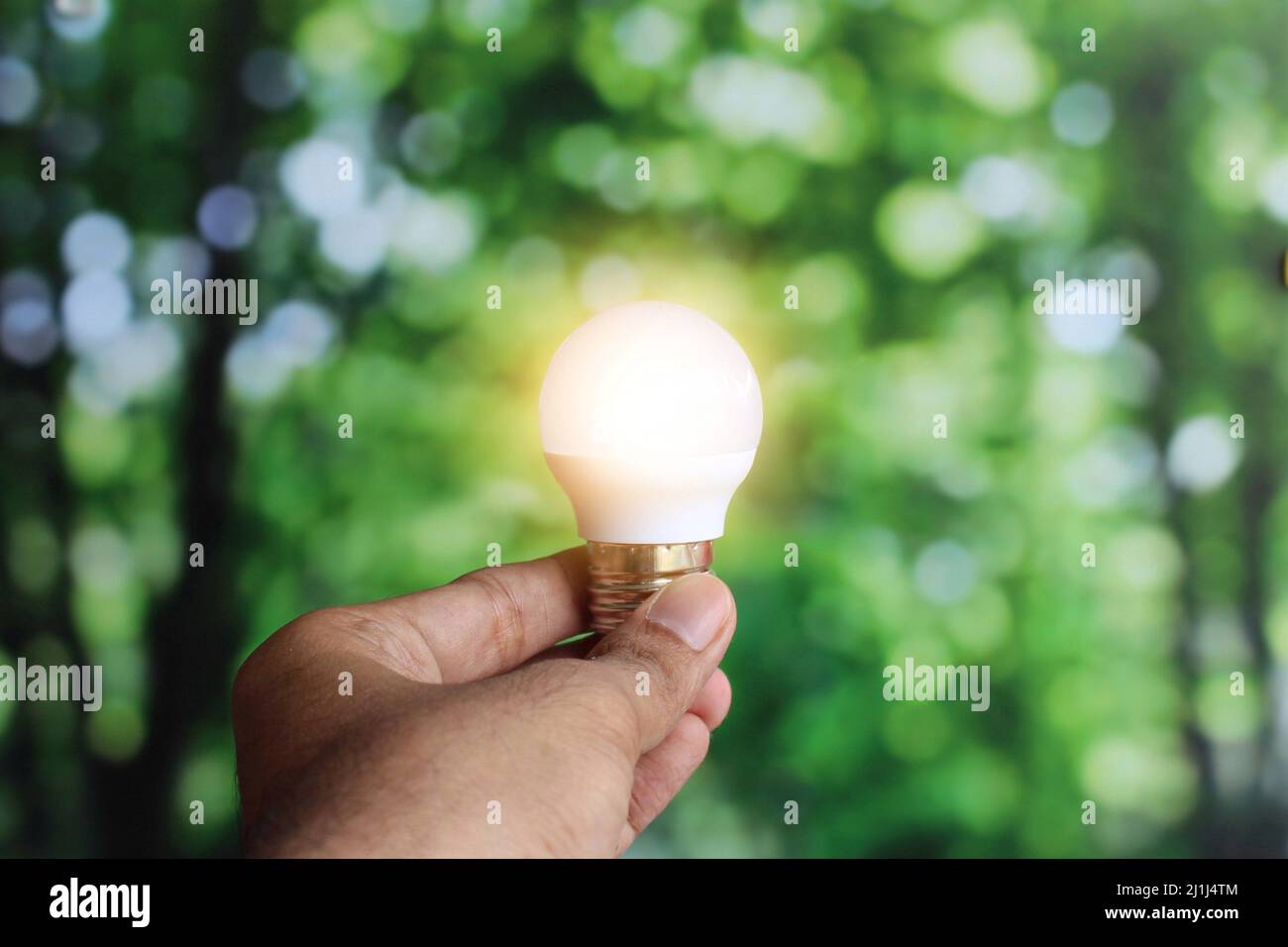 Hand hält glühende Glühbirne auf Natur Bokeh Hintergrund. Grüne Energie, saubere Energie, Öko-Konzept. Stockfoto