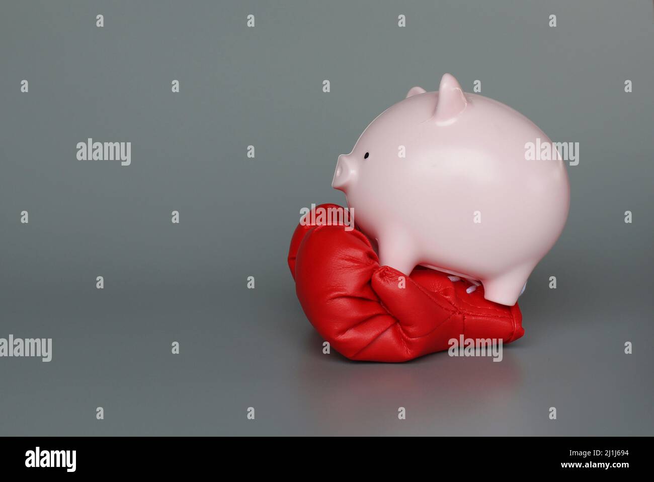 Sparschwein und Boxhandschuhe auf grauem Hintergrund mit Kopierraum. Schützen Sie Einsparungen, Finanzkonzept. Stockfoto