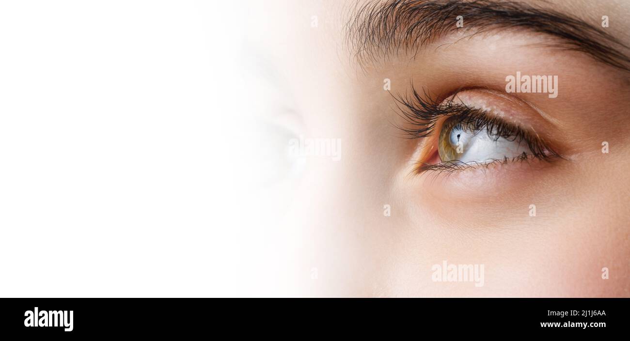 Nahaufnahme, Profilfoto eines weiblichen Auges, einer Iris, einer Pupille, Wimpern, Augenlidern. Hochwertige Fotos Stockfoto