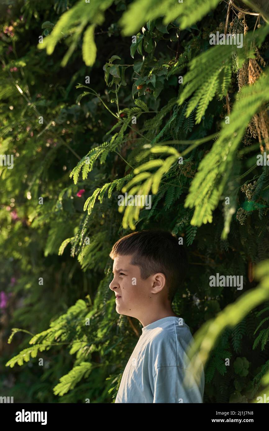 Sonnenlicht fällt auf das Gesicht des Jungen vor dem Hintergrund der Natur Stockfoto