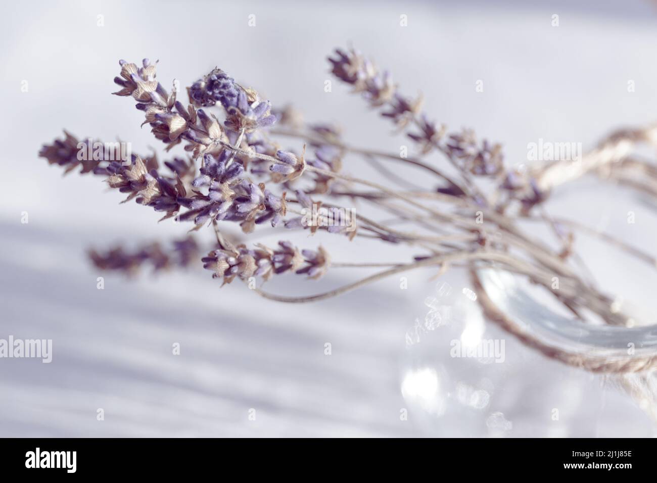 Getrockneter lila Lavendel in einer Glasflasche mit Garn und mit leichten Highlights. Ein kleiner Strauß trockener Blumen. Draufsicht Stockfoto