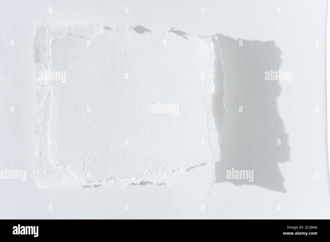 Papierfetzen. Zwei Stücke zerrissenes weißes Papier auf hellem Hintergrund. Stockfoto