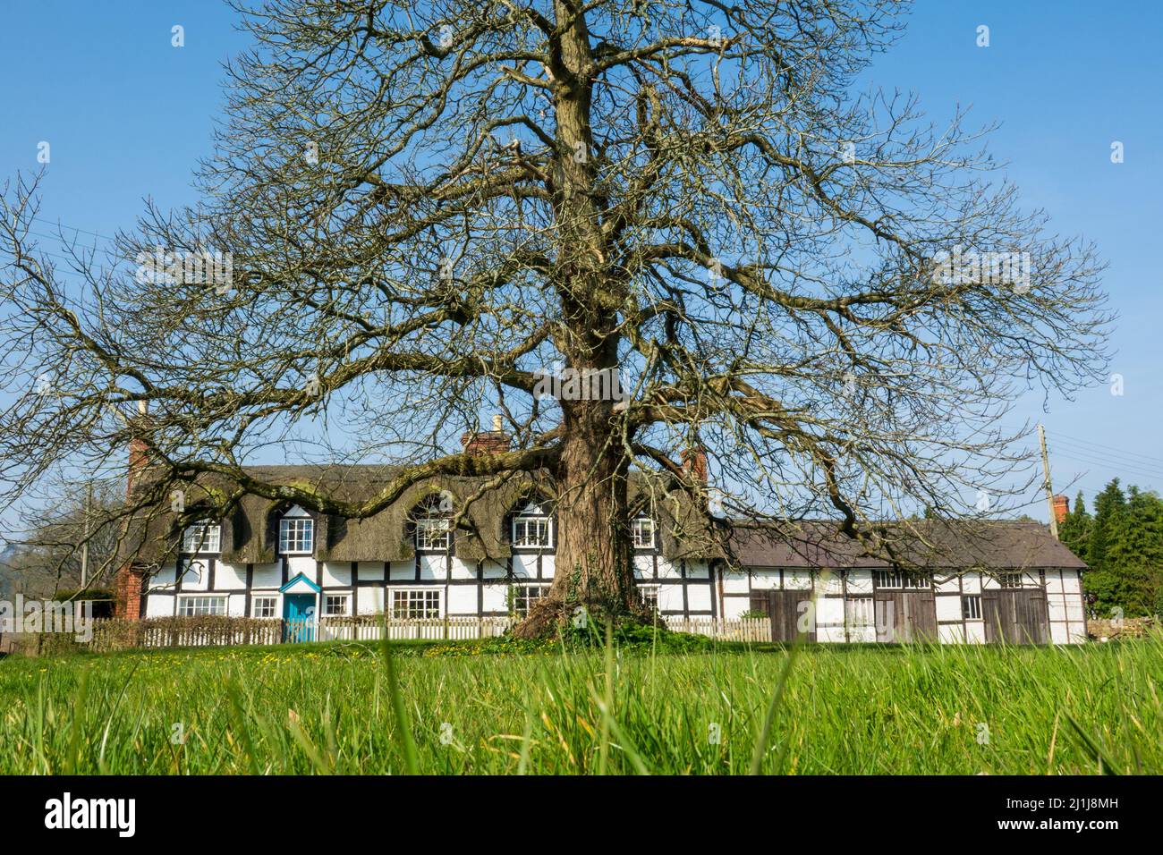 Balck und White Cottages, Brampton Bryan, Herefordshire Stockfoto