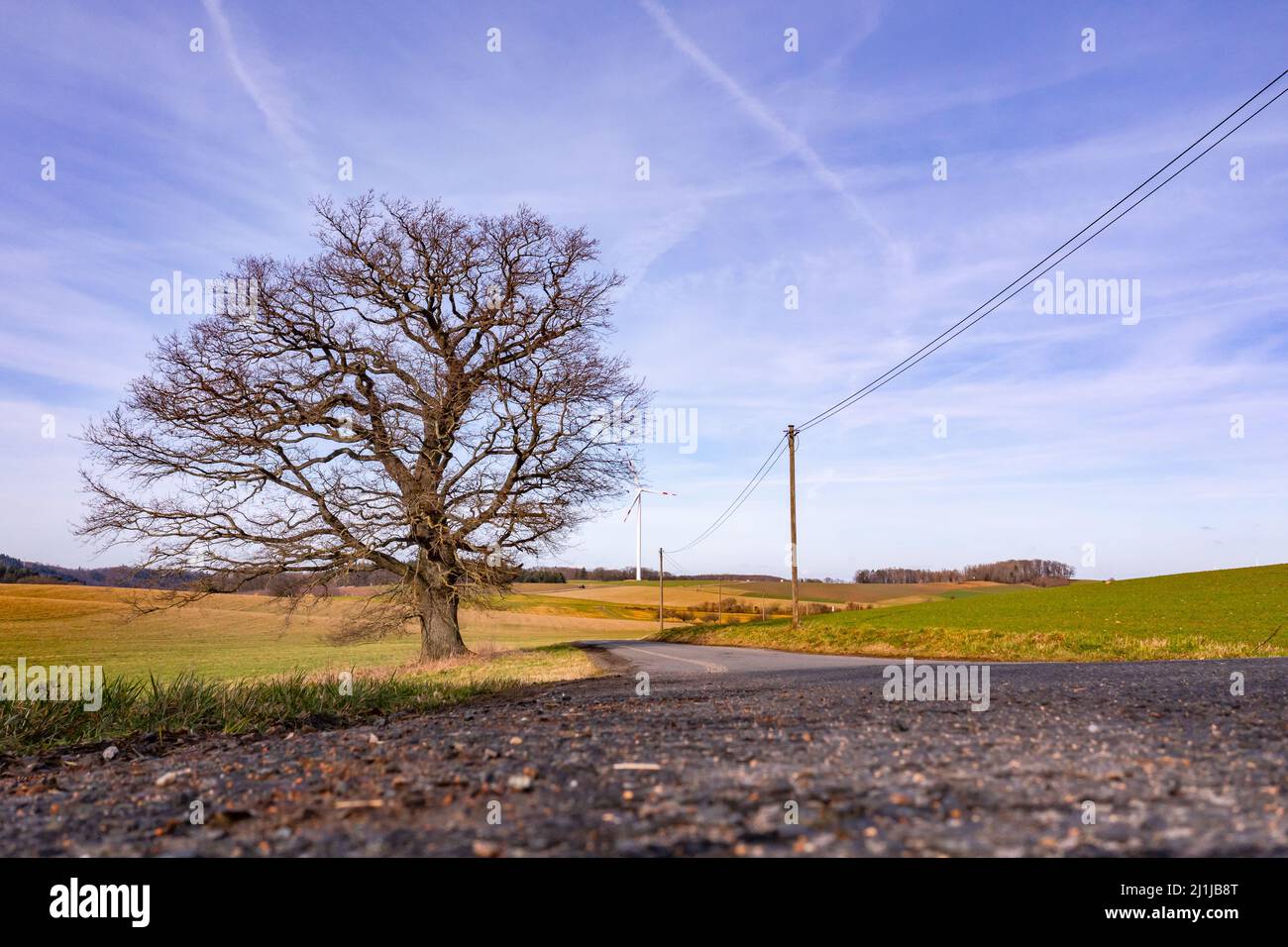 Eine ländliche Landschaft mit einem Baum und einer Windturbine für die grüne Stromerzeugung Stockfoto