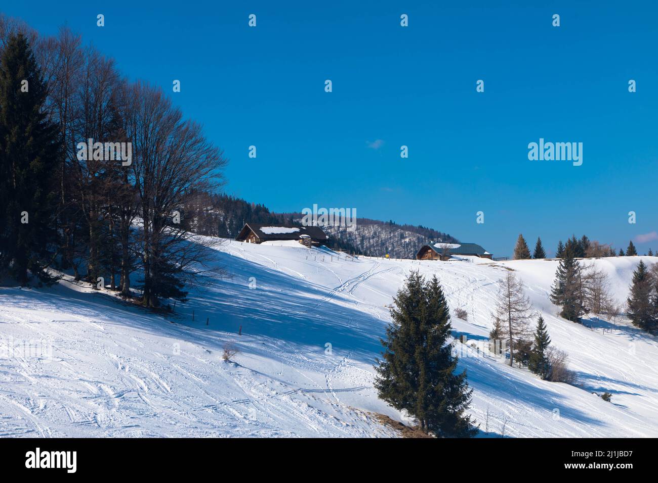 Winter verschneiten Berghang, Tannen auf der Bergspitze mit schönen blauen Himmel und Sonnenschein. Spektakuläre Winter Naturlandschaft für den Urlaub Stockfoto