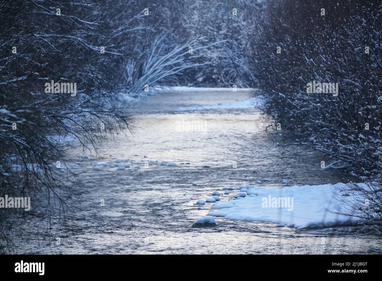 Kalter Winterfluss, dunkle Bäume auf beiden Seiten Stockfoto