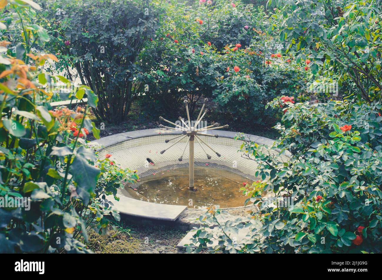 Wunderschöner Garten-Wasserbrunnen im Yard-Gelände auf einem öffentlichen Park, umgeben von Blumen. Stockfoto