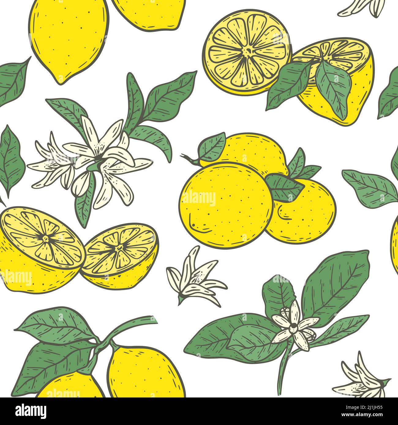 Nahtloses Muster mit gelben Zitronenblüten und Blättern Vektorgrafik. Fruchtiger Hintergrund mit Zitrusfrüchten. Modell mit gesunden Bio-Lebensmitteln. Vorlage Stock Vektor