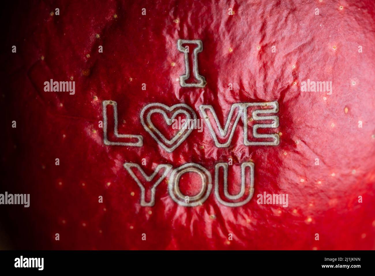 Die Aufschrift „I Love You“ lasergraviert auf die Haut eines roten Apfels. Szene wird durch gleichmäßiges, weiches Licht beleuchtet. Stockfoto