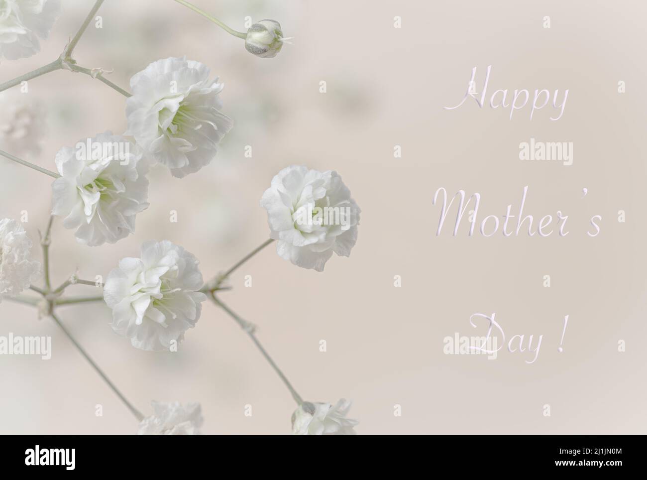 Text zum Happy Mothers Day mit Nahaufnahme von Baby's Breath Blumen auf einem rosa Hintergrund Stockfoto