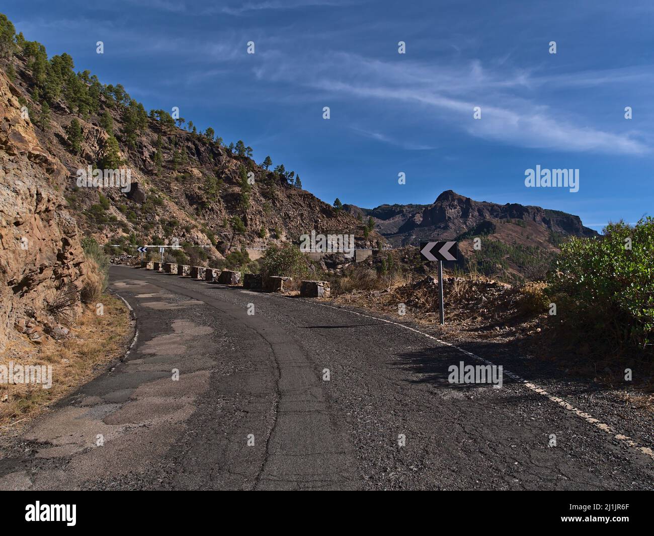 Blick auf die ländliche Bergstraße GC-605 in den Bergen nördlich von Mogan, Grand Canaria, Kanarische Inseln, Spanien am sonnigen Tag in schlechtem Zustand mit Pinien. Stockfoto