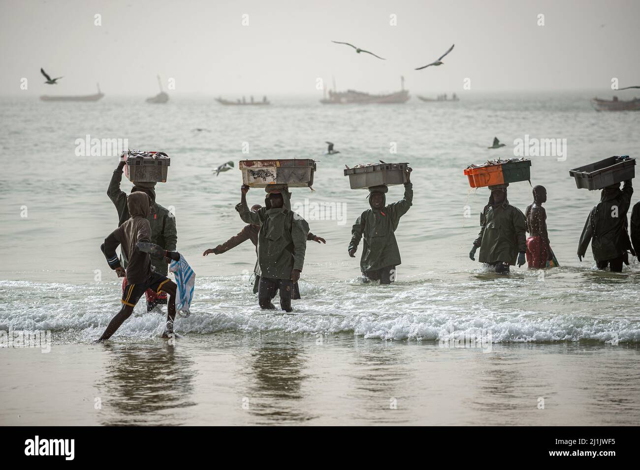 Schwarzafrikanische Arbeiter, die Fisch von Fischerbooten herunterladen, Fischmarkt Nouakchott, Mauretanien Stockfoto