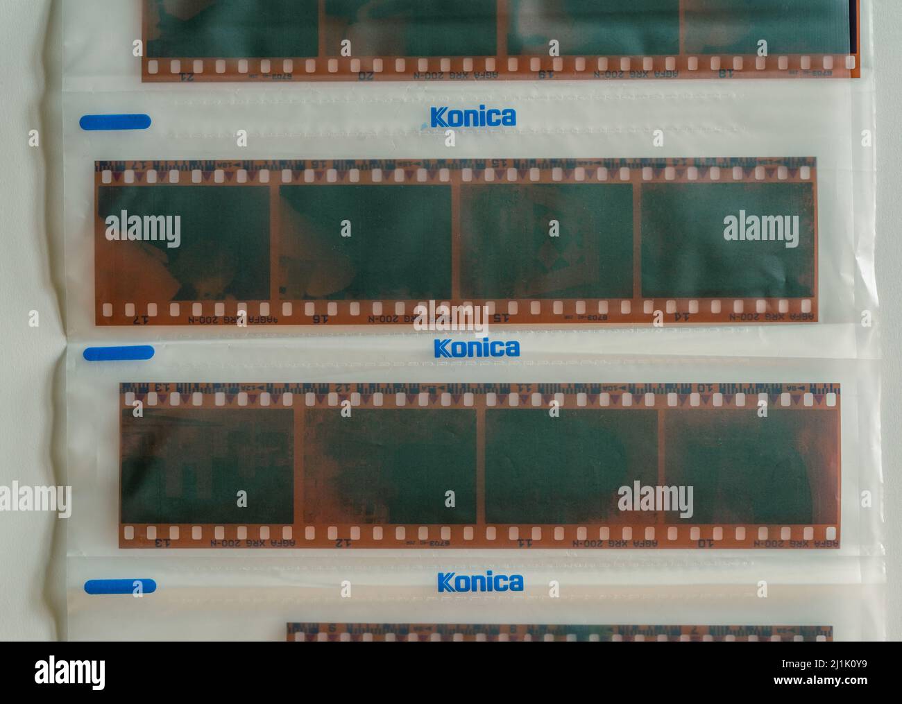 Streifen von Konica-Filmnegativen, analoge Fotografie Stockfoto