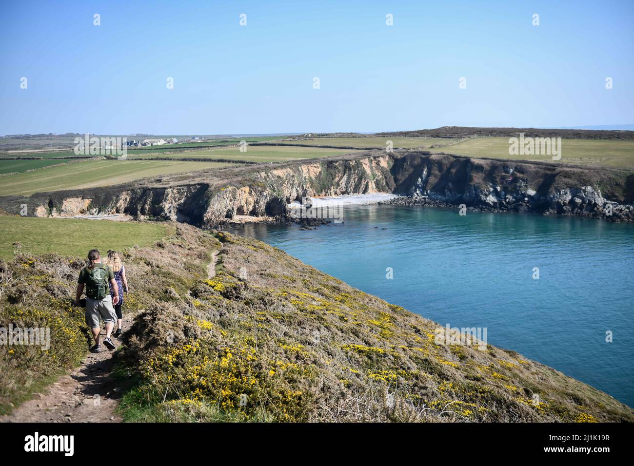 Der wunderschöne Pembrokeshire Coastal Path führt am wärmsten Tag des Jahres in Richtung Porthlysgi Bay, in der Nähe von St. Davids, während die Menschen das schöne Frühlingswetter in ganz Großbritannien genießen. Stockfoto