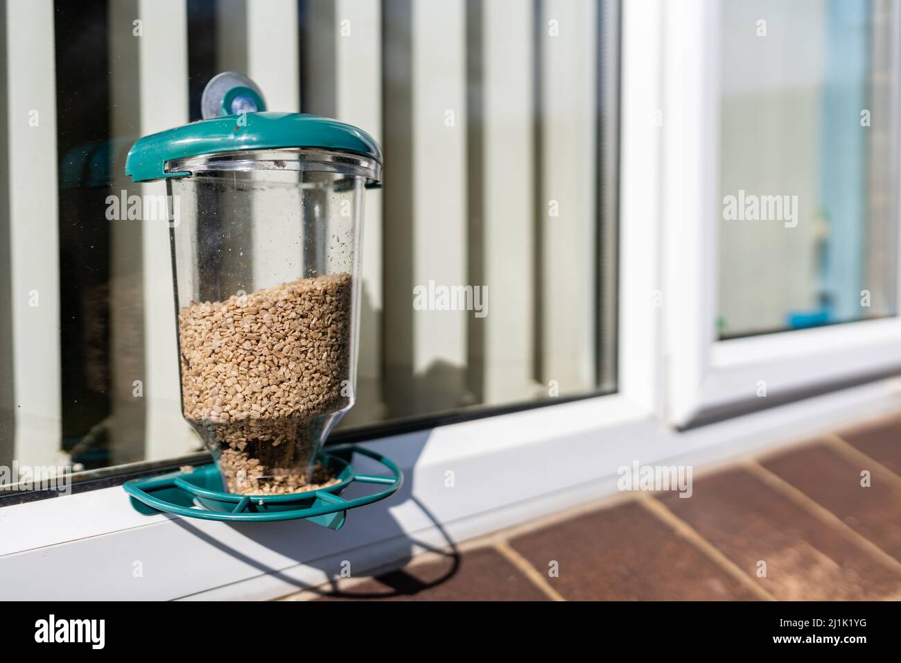 Ein Vogelfutterhäuschen vor dem Fenster, das es den Menschen im Haus ermöglicht, Vögel beim Füttern durch das Fenster zu beobachten Stockfoto
