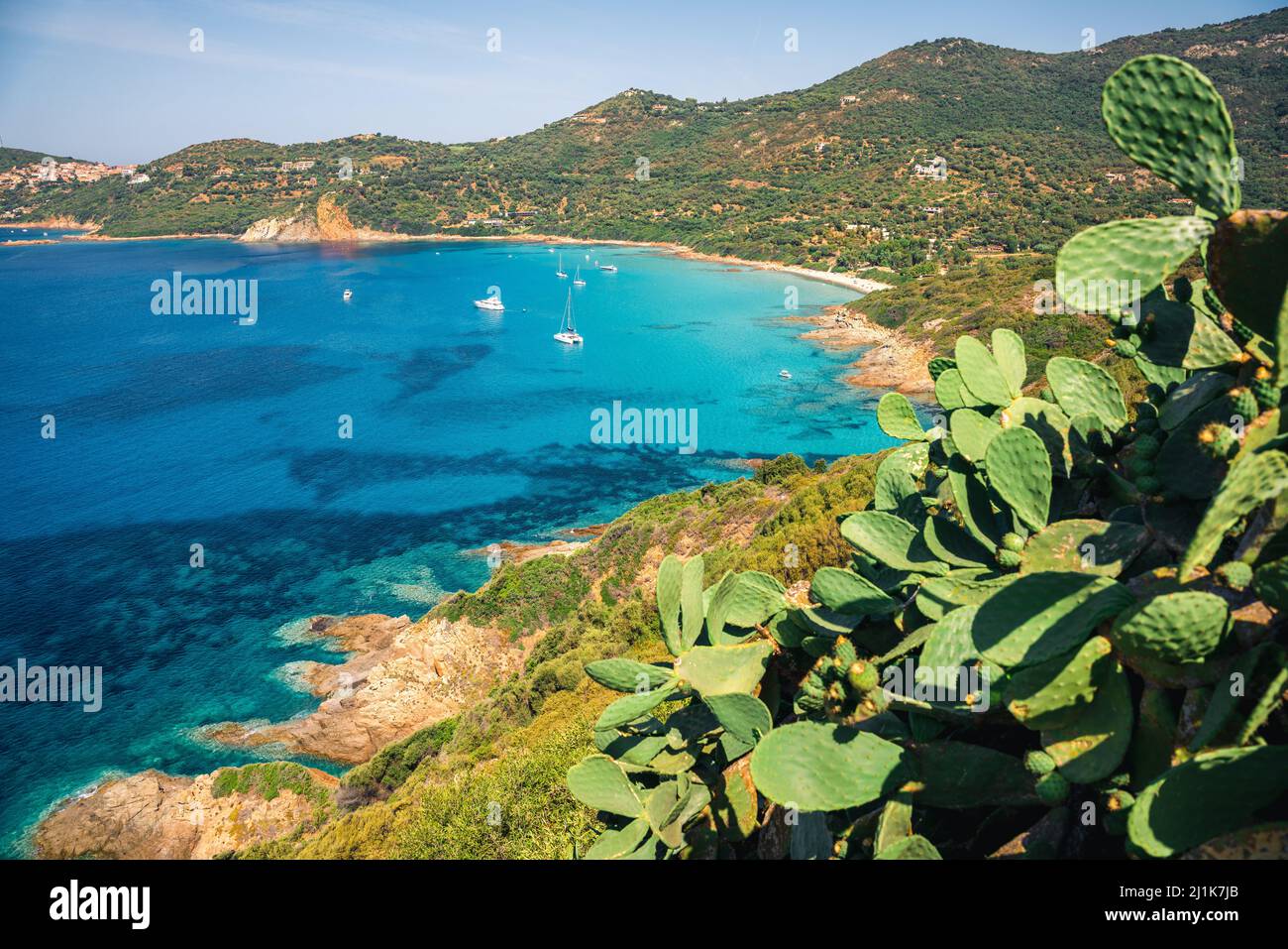 Südkorsika, türkisfarbenes Meer und grüne Landschaft von oben. Frankreich Stockfoto
