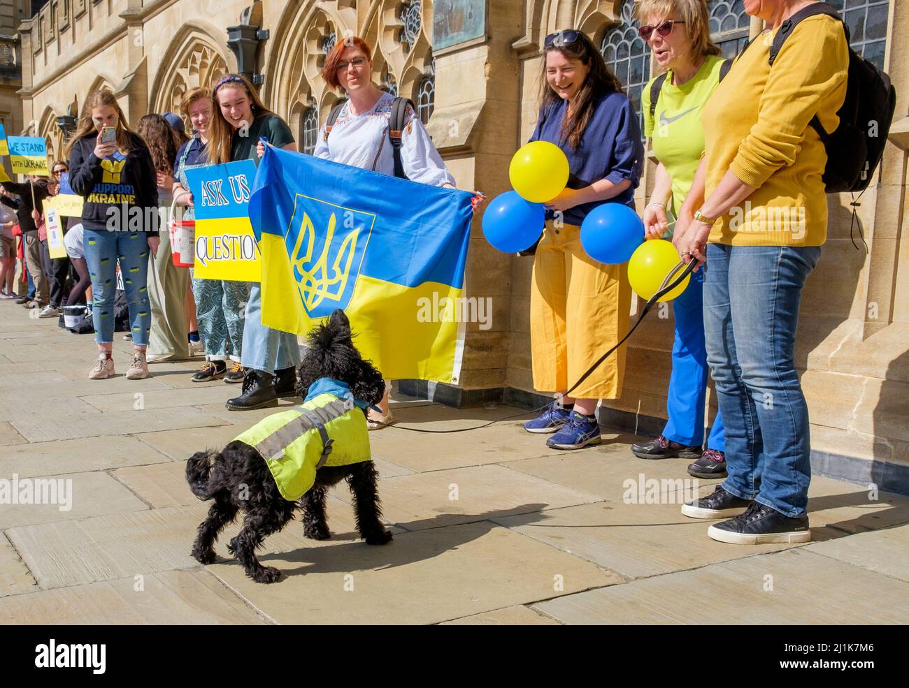 Bad; Großbritannien. 26.. März; 2022. Ein kleiner Hund bellt im Einklang mit den Demonstranten, während sie während eines Protestes vor der Abtei von Bath pro-ukrainische Slogans rufen. Die Demonstranten mit Plakaten gegen den Krieg und ukrainischen Flaggen nahmen an einer Demonstration gegen die russische Invasion in der Ukraine Teil. Quelle: Lynchpics/Alamy Live News Stockfoto