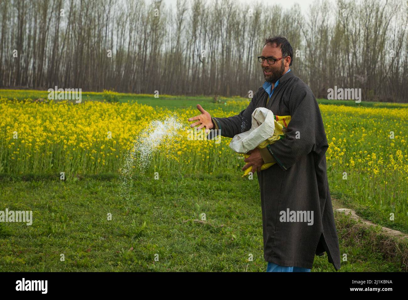 Srinagar, Indien. 19. März 2022. Ein Kashmiri-Bauer verteilt an einem sonnigen Frühlingstag am Stadtrand von Srinagar Dünger auf seinem Senffeld. Senf und Mandeln sind wichtige Nutzpflanzen im Tal. Während nach einem harten und trostlosen Winter der strahlende Sonnenschein die Region badet, nähert sich der blaue Himmel und das fröhliche Wetter und neue Blüten wie Mandeln, Pfirsiche, Birnen, Kirschen und die leuchtend gelben Senfblüten malen einen bunten Aufruhr auf die Leinwand der Natur, Verleiht der Luft Frische und einen süßen Duft, der den Frühling signalisiert. (Bild: © Faisal Bashir/SOPA Images via ZUMA Press Wire Stockfoto