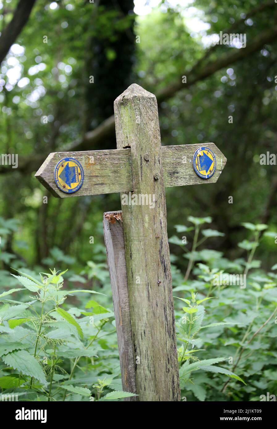 Wegweiser aus Holz Stockfoto