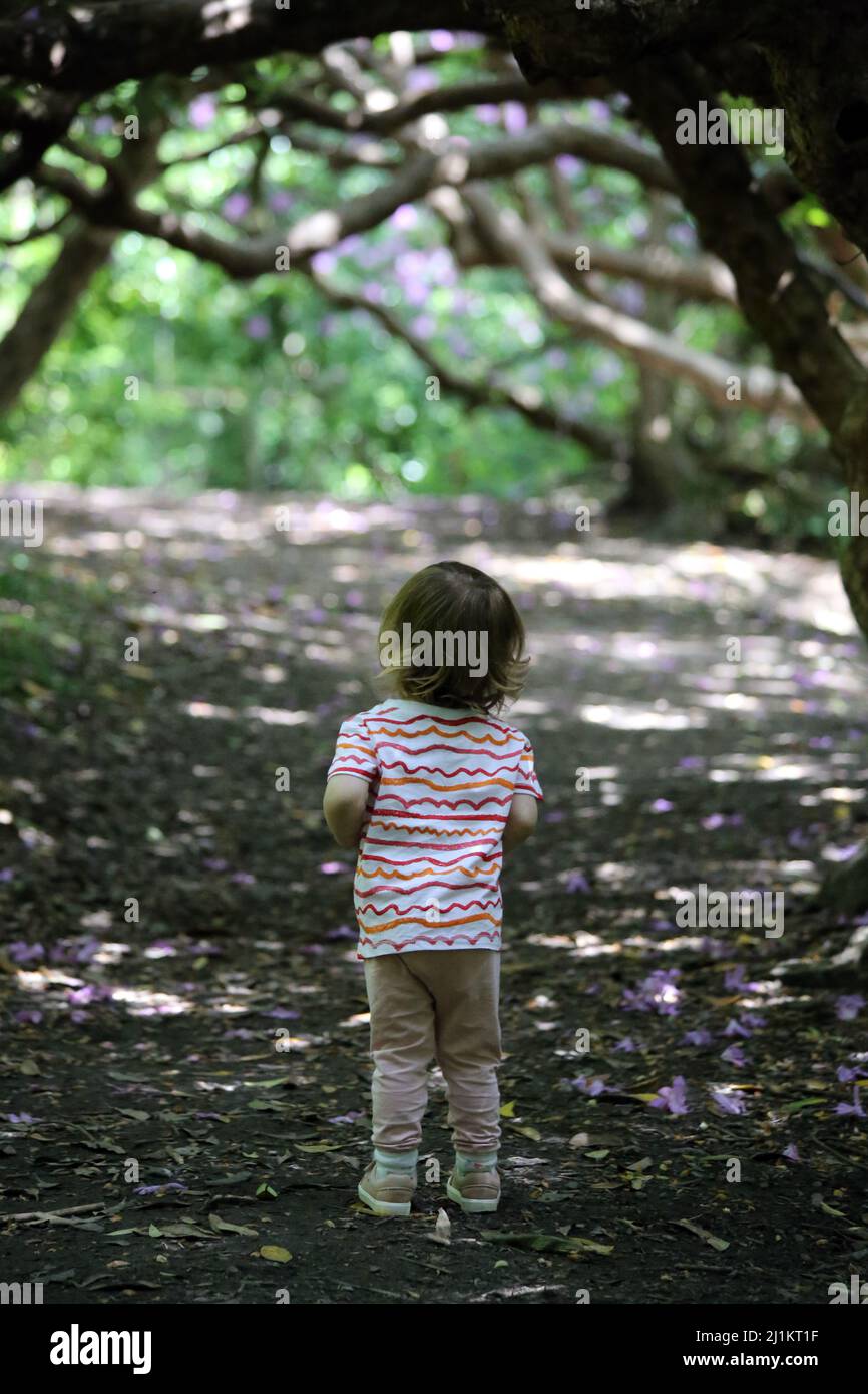Kleines Kind stand und schaute auf den Waldweg Stockfoto