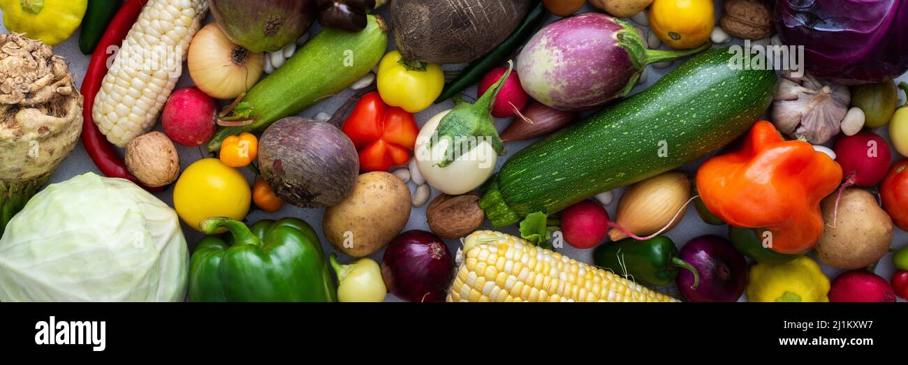 Hintergrund mit frischem Herbstgemüse, Bio gesunde landwirtschaftliche Produkte Banner, Draufsicht Stockfoto
